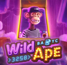 Slot casino Winnita